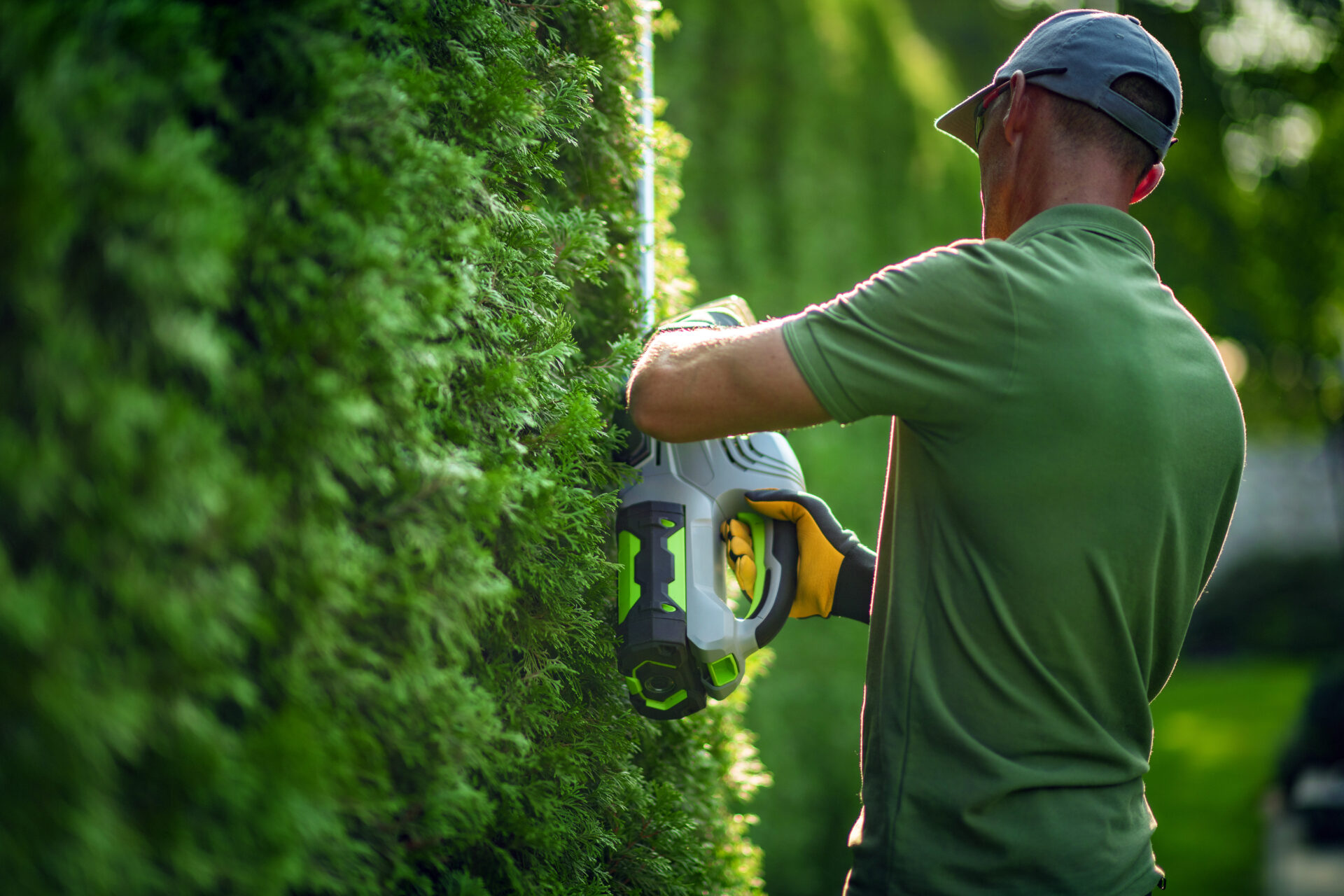 Man Trimming a Lush Green Hedge in a Well-Maintained Garden During Bright Daylight Hours
