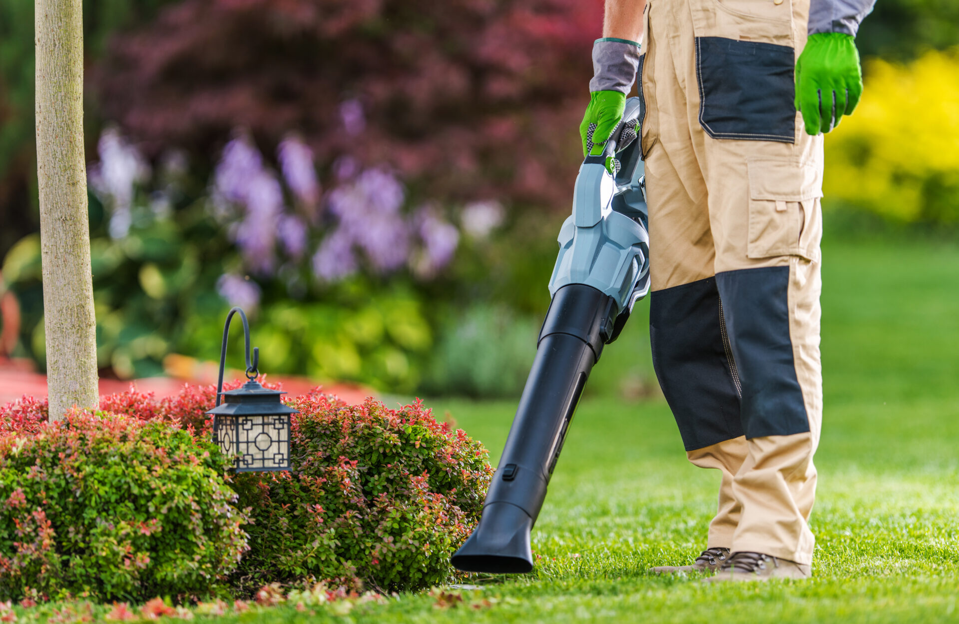 Man Using a Leaf Blower in a Well-Maintained Garden During a Sunny Day