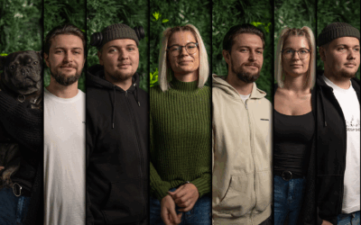 Wer macht eigentlich den ganzen Kram im Hintergrund?